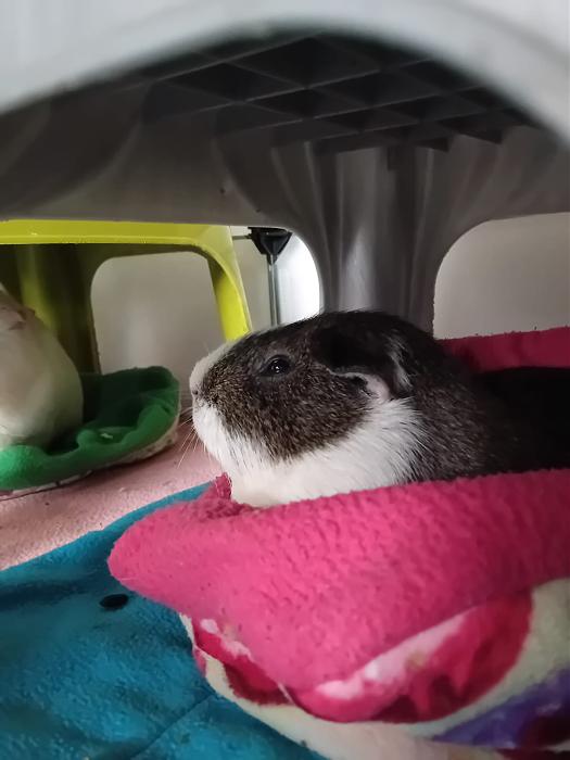 Klicke auf die Grafik f�r eine gr��ere Ansicht

Name:	IMG-20260111-WA0059.jpg
Hits:	0
Gr��e:	100,4 KB
ID:	216017