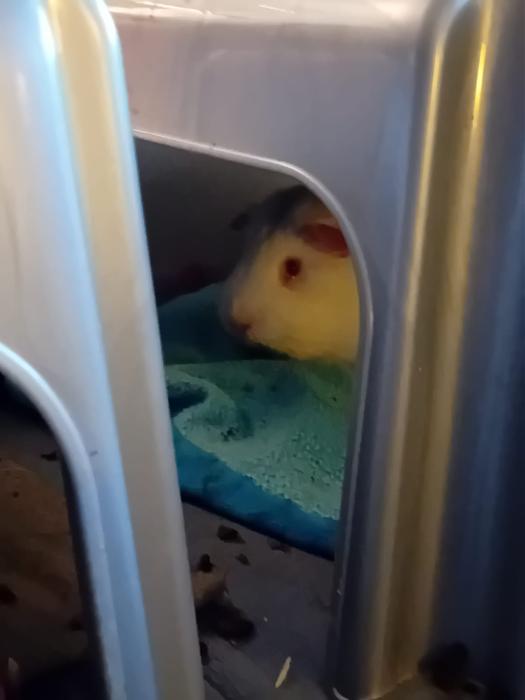 Klicke auf die Grafik f�r eine gr��ere Ansicht

Name:	IMG-20260111-WA0044.jpg
Hits:	0
Gr��e:	70,6 KB
ID:	216018