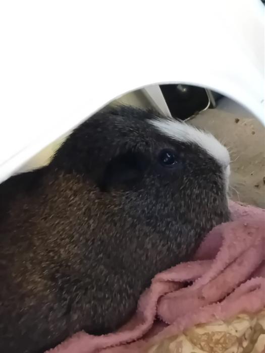 Klicke auf die Grafik f�r eine gr��ere Ansicht

Name:	IMG-20260111-WA0046.jpg
Hits:	0
Gr��e:	74,3 KB
ID:	216019