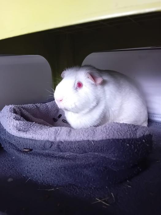 Klicke auf die Grafik f�r eine gr��ere Ansicht

Name:	IMG-20260111-WA0057.jpg
Hits:	0
Gr��e:	93,5 KB
ID:	216021