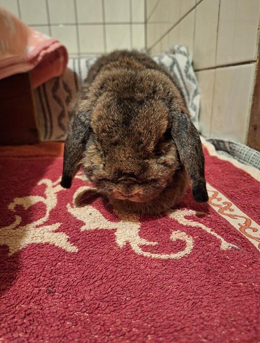 Klicke auf die Grafik f�r eine gr��ere Ansicht

Name:	Screenshot_20260112_220111_Gallery.jpg
Hits:	0
Gr��e:	208,3 KB
ID:	216024