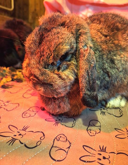 Klicke auf die Grafik f�r eine gr��ere Ansicht

Name:	Screenshot_20260112_220045_Gallery.jpg
Hits:	0
Gr��e:	224,2 KB
ID:	216025