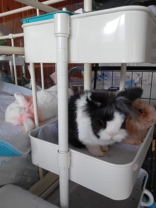 Klicke auf die Grafik f�r eine gr��ere Ansicht

Name:	IMG-20260118-WA0073.jpg
Hits:	0
Gr��e:	185,6 KB
ID:	216036