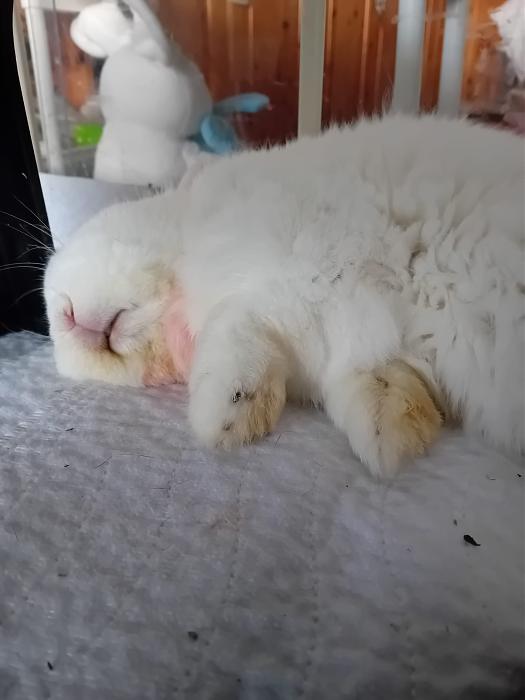 Klicke auf die Grafik f�r eine gr��ere Ansicht

Name:	IMG-20260118-WA0072.jpg
Hits:	0
Gr��e:	136,3 KB
ID:	216040