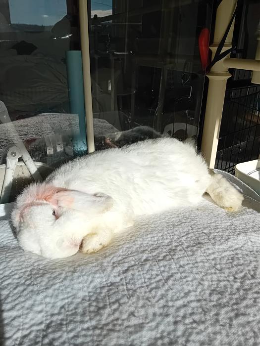 Klicke auf die Grafik f�r eine gr��ere Ansicht

Name:	IMG-20260118-WA0068.jpg
Hits:	0
Gr��e:	270,1 KB
ID:	216041