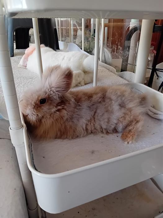 Klicke auf die Grafik f�r eine gr��ere Ansicht

Name:	IMG-20260118-WA0069.jpg
Hits:	0
Gr��e:	179,5 KB
ID:	216042