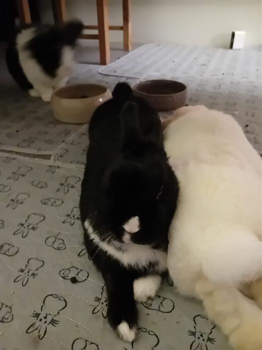 Klicke auf die Grafik f�r eine gr��ere Ansicht

Name:	IMG-20260118-WA0063.jpg
Hits:	0
Gr��e:	123,0 KB
ID:	216044