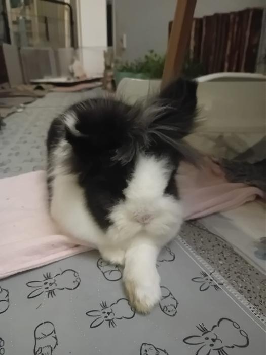 Klicke auf die Grafik f�r eine gr��ere Ansicht

Name:	IMG-20260118-WA0061.jpg
Hits:	0
Gr��e:	141,0 KB
ID:	216045