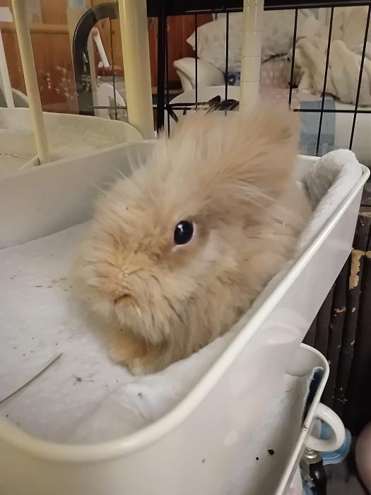 Klicke auf die Grafik f�r eine gr��ere Ansicht

Name:	IMG-20260118-WA0062.jpg
Hits:	0
Gr��e:	175,8 KB
ID:	216046