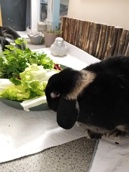 Klicke auf die Grafik f�r eine gr��ere Ansicht

Name:	IMG-20260118-WA0079.jpg
Hits:	0
Gr��e:	183,6 KB
ID:	216047