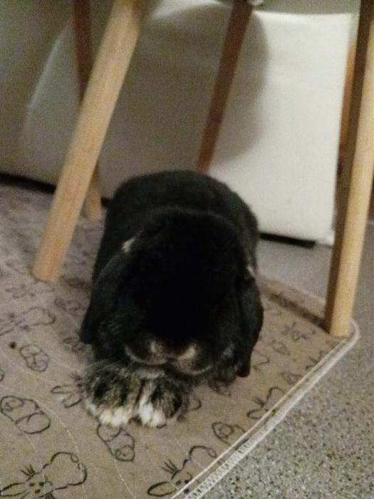 Klicke auf die Grafik f�r eine gr��ere Ansicht

Name:	IMG-20260118-WA0076.jpg
Hits:	0
Gr��e:	158,2 KB
ID:	216051