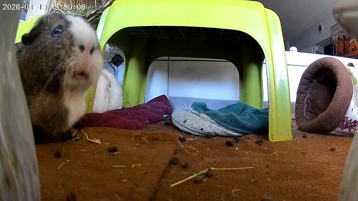 Klicke auf die Grafik f�r eine gr��ere Ansicht

Name:	IMG-20260118-WA0056.jpg
Hits:	1
Gr��e:	163,8 KB
ID:	216052