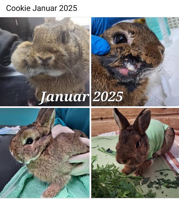 Klicke auf die Grafik f�r eine gr��ere Ansicht

Name:	Screenshot_20260119_141513_Facebook(1).jpg
Hits:	0
Gr��e:	164,4 KB
ID:	216054