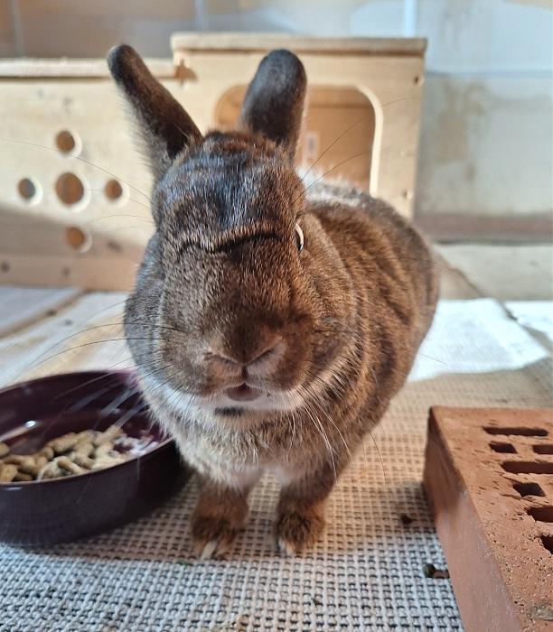 Klicke auf die Grafik f�r eine gr��ere Ansicht

Name:	Screenshot_20260119_231949_Gallery.jpg
Hits:	0
Gr��e:	149,9 KB
ID:	216056