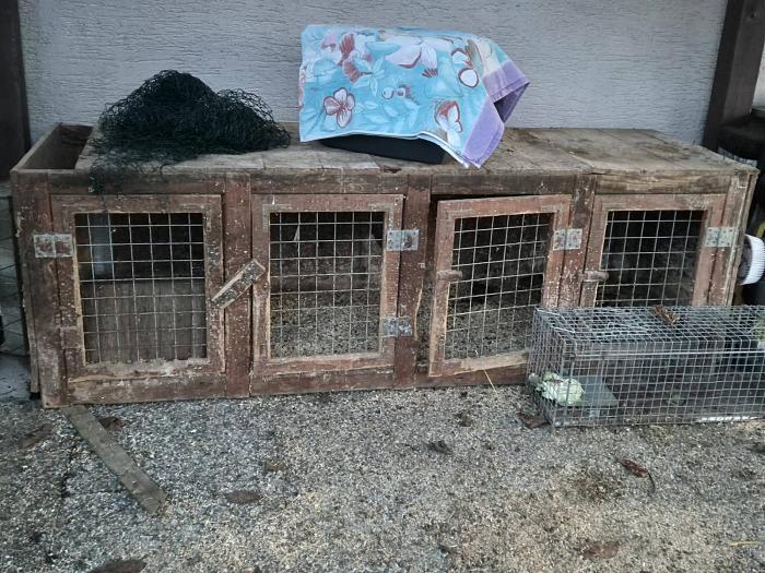 Klicke auf die Grafik f�r eine gr��ere Ansicht

Name:	IMG-20260121-WA0031.jpg
Hits:	1
Gr��e:	238,1 KB
ID:	216060