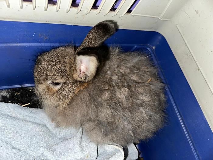 Klicke auf die Grafik f�r eine gr��ere Ansicht

Name:	288384B5-BF69-4106-9139-43286527DBBF.jpg
Hits:	0
Gr��e:	76,3 KB
ID:	216063