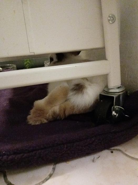 Klicke auf die Grafik f�r eine gr��ere Ansicht

Name:	IMG-20260125-WA0080.jpg
Hits:	1
Gr��e:	242,4 KB
ID:	216083