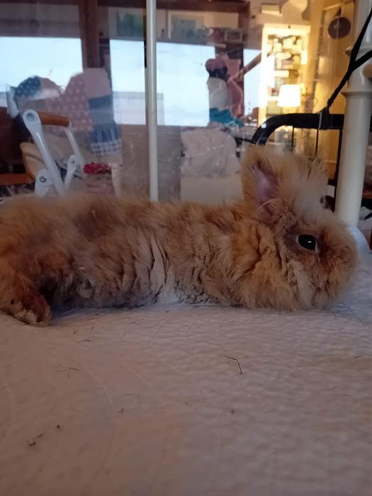 Klicke auf die Grafik f�r eine gr��ere Ansicht

Name:	IMG-20260125-WA0101.jpg
Hits:	0
Gr��e:	156,5 KB
ID:	216091