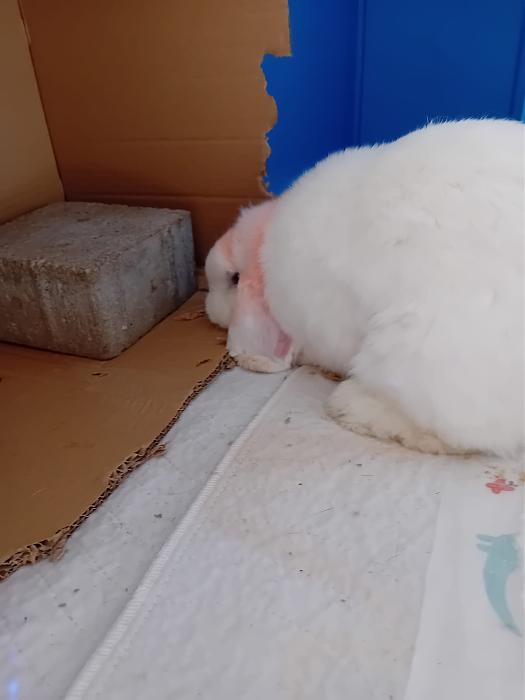 Klicke auf die Grafik f�r eine gr��ere Ansicht

Name:	IMG-20260125-WA0098.jpg
Hits:	0
Gr��e:	106,3 KB
ID:	216092