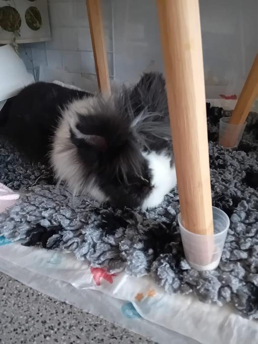 Klicke auf die Grafik f�r eine gr��ere Ansicht

Name:	IMG-20260125-WA0090.jpg
Hits:	0
Gr��e:	185,9 KB
ID:	216094