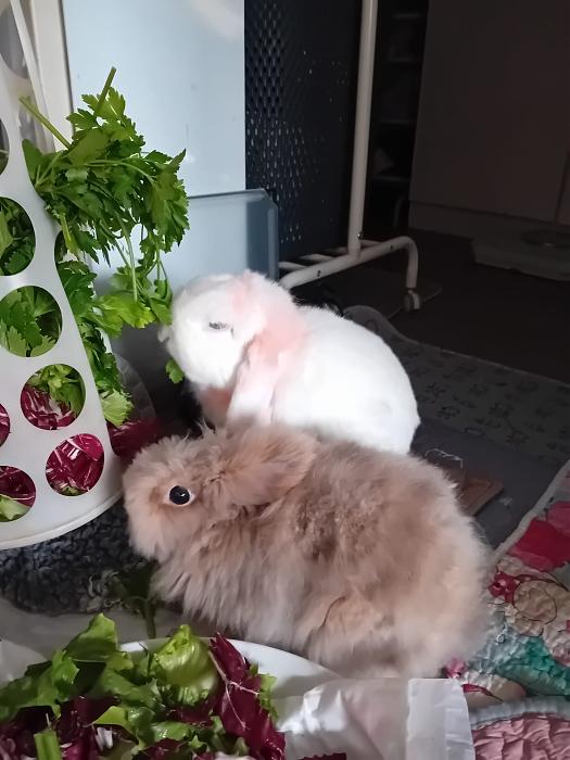 Klicke auf die Grafik f�r eine gr��ere Ansicht

Name:	IMG-20260125-WA0089.jpg
Hits:	0
Gr��e:	193,6 KB
ID:	216096