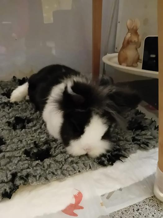 Klicke auf die Grafik f�r eine gr��ere Ansicht

Name:	IMG-20260125-WA0066.jpg
Hits:	0
Gr��e:	148,0 KB
ID:	216102