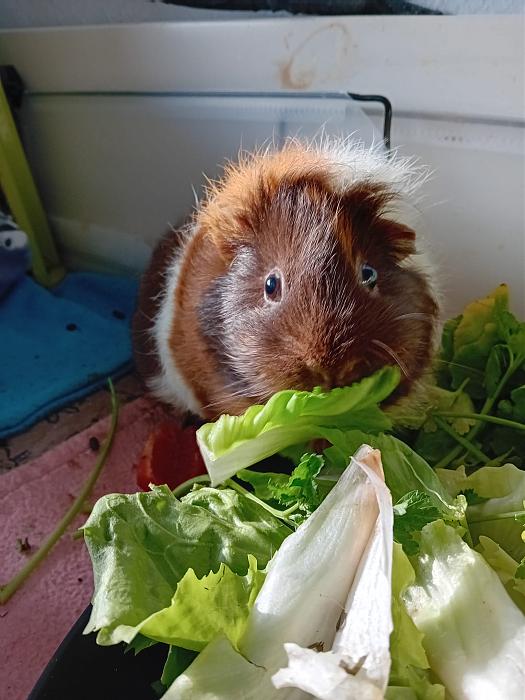 Klicke auf die Grafik f�r eine gr��ere Ansicht

Name:	IMG-20260125-WA0094.jpg
Hits:	0
Gr��e:	245,7 KB
ID:	216105