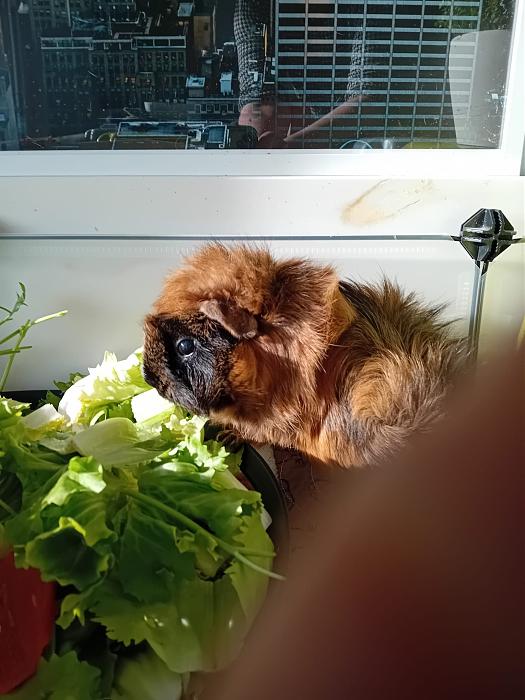 Klicke auf die Grafik f�r eine gr��ere Ansicht

Name:	IMG-20260125-WA0095.jpg
Hits:	0
Gr��e:	242,1 KB
ID:	216106