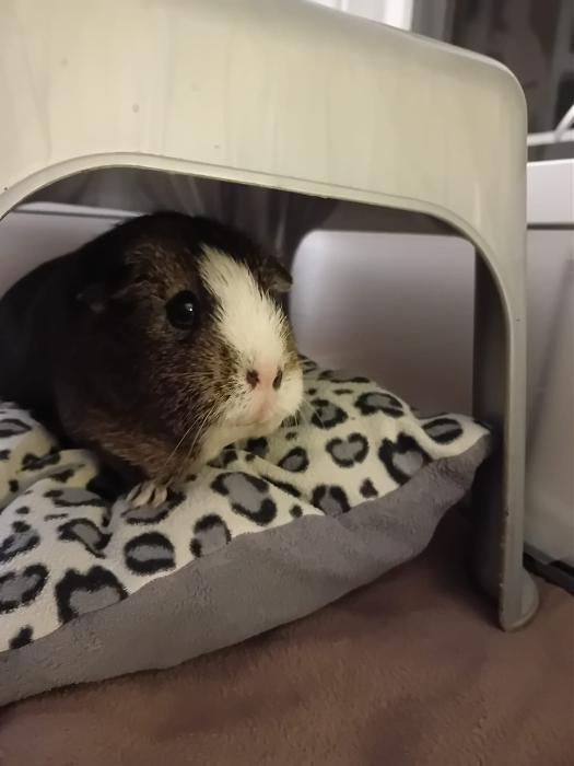 Klicke auf die Grafik f�r eine gr��ere Ansicht

Name:	IMG-20260125-WA0074.jpg
Hits:	0
Gr��e:	136,8 KB
ID:	216109