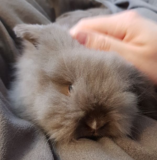 Klicke auf die Grafik f�r eine gr��ere Ansicht

Name:	20190131_123942.jpg
Hits:	71
Gr��e:	52,2 KB
ID:	216114