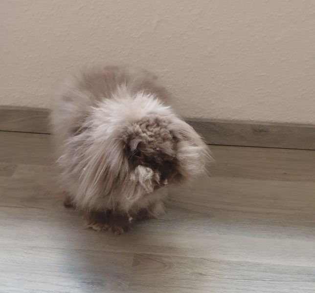 Klicke auf die Grafik f�r eine gr��ere Ansicht

Name:	20250619_194351.jpg
Hits:	71
Gr��e:	39,7 KB
ID:	216115