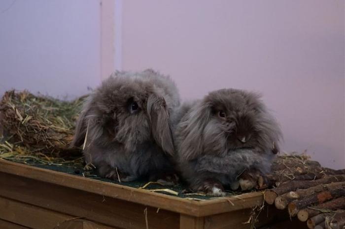 Klicke auf die Grafik f�r eine gr��ere Ansicht

Name:	DSC06117.JPG
Hits:	2
Gr��e:	40,3 KB
ID:	216116