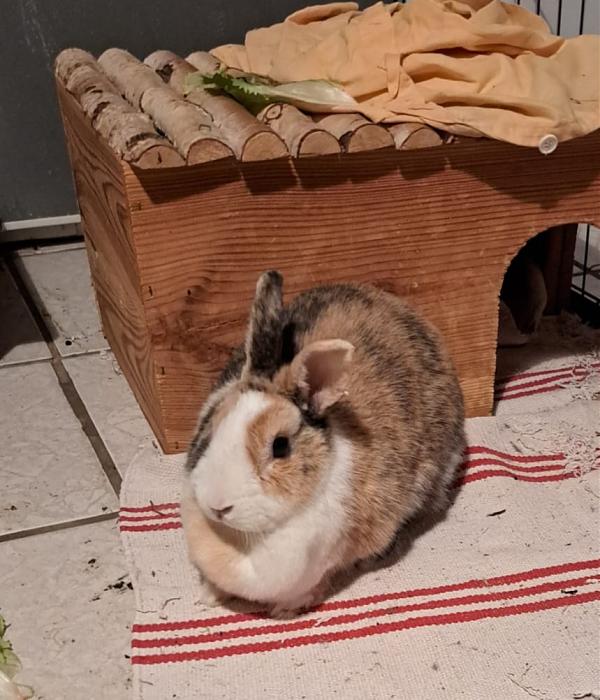 Klicke auf die Grafik f�r eine gr��ere Ansicht

Name:	IMG-20260127-WA0009.jpg
Hits:	1
Gr��e:	215,6 KB
ID:	216122