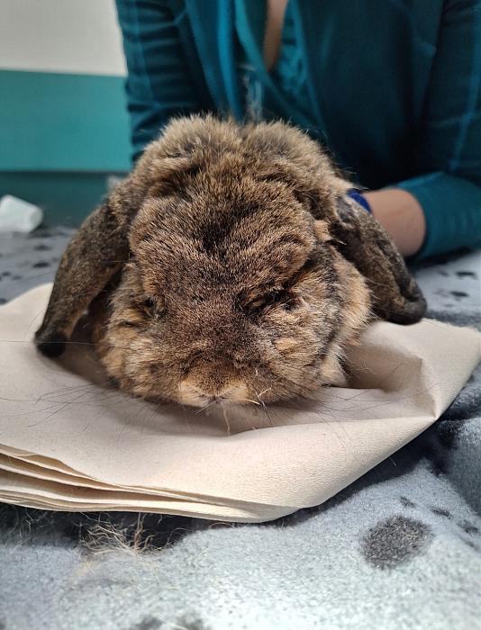 Klicke auf die Grafik f�r eine gr��ere Ansicht

Name:	Screenshot_20260128_233758_Gallery.jpg
Hits:	0
Gr��e:	187,8 KB
ID:	216125