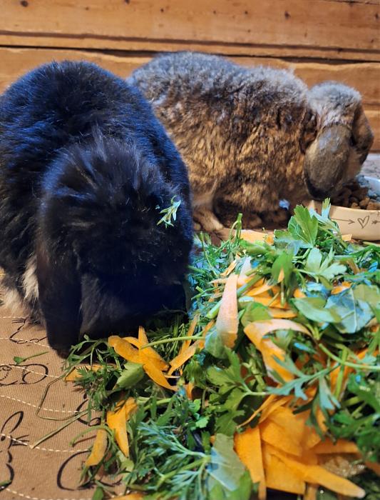 Klicke auf die Grafik f�r eine gr��ere Ansicht

Name:	Screenshot_20260128_233821_Gallery.jpg
Hits:	0
Gr��e:	194,0 KB
ID:	216126