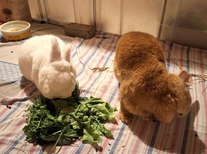 Klicke auf die Grafik f�r eine gr��ere Ansicht

Name:	Screenshot_20260129_140004_Gallery.jpg
Hits:	1
Gr��e:	246,2 KB
ID:	216129