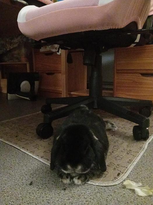 Klicke auf die Grafik f�r eine gr��ere Ansicht

Name:	IMG-20260201-WA0133.jpg
Hits:	0
Gr��e:	295,3 KB
ID:	216145