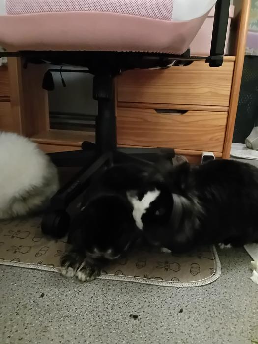 Klicke auf die Grafik f�r eine gr��ere Ansicht

Name:	IMG-20260201-WA0141.jpg
Hits:	0
Gr��e:	189,9 KB
ID:	216146