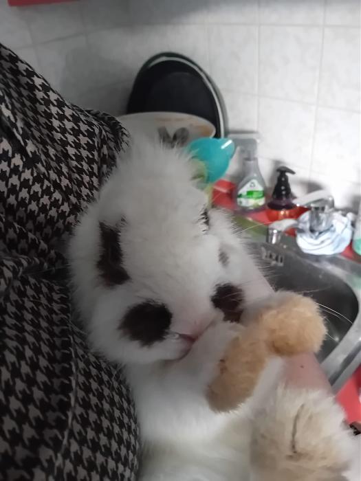 Klicke auf die Grafik f�r eine gr��ere Ansicht

Name:	IMG-20260201-WA0113.jpg
Hits:	0
Gr��e:	161,6 KB
ID:	216155