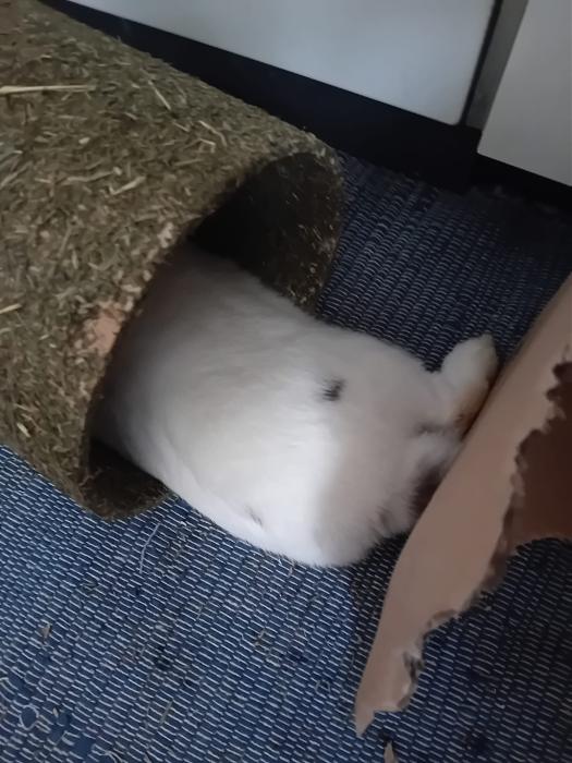 Klicke auf die Grafik f�r eine gr��ere Ansicht

Name:	IMG-20260201-WA0111.jpg
Hits:	0
Gr��e:	243,0 KB
ID:	216156