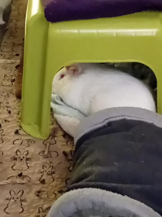 Klicke auf die Grafik f�r eine gr��ere Ansicht

Name:	IMG-20260201-WA0138.jpg
Hits:	0
Gr��e:	131,2 KB
ID:	216157