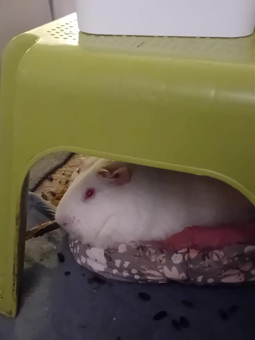 Klicke auf die Grafik f�r eine gr��ere Ansicht

Name:	IMG-20260201-WA0127.jpg
Hits:	0
Gr��e:	99,0 KB
ID:	216158