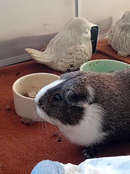 Klicke auf die Grafik f�r eine gr��ere Ansicht

Name:	IMG-20260201-WA0123.jpg
Hits:	0
Gr��e:	299,0 KB
ID:	216162