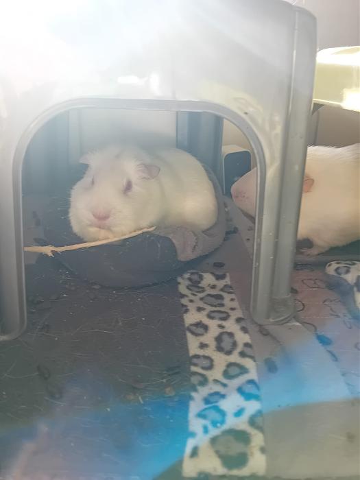 Klicke auf die Grafik f�r eine gr��ere Ansicht

Name:	IMG-20260201-WA0108.jpg
Hits:	0
Gr��e:	121,7 KB
ID:	216164