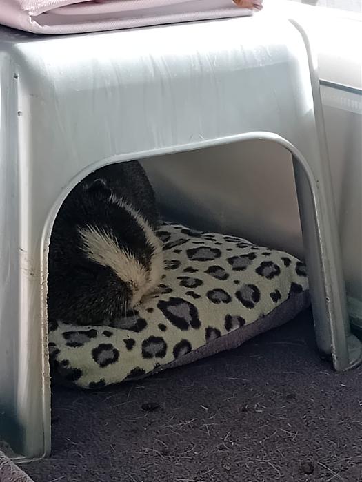 Klicke auf die Grafik f�r eine gr��ere Ansicht

Name:	IMG-20260201-WA0107.jpg
Hits:	0
Gr��e:	195,4 KB
ID:	216165