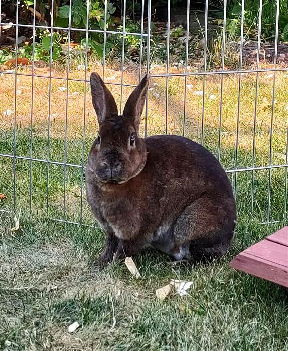 Klicke auf die Grafik f�r eine gr��ere Ansicht

Name:	signal-2026-02-03-15-19-43-284.jpg
Hits:	0
Gr��e:	290,1 KB
ID:	216179