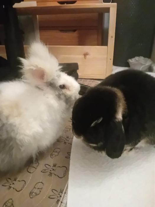 Klicke auf die Grafik f�r eine gr��ere Ansicht

Name:	IMG-20260208-WA0076.jpg
Hits:	0
Gr��e:	116,1 KB
ID:	216190