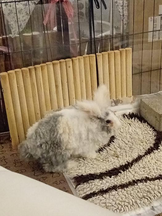 Klicke auf die Grafik f�r eine gr��ere Ansicht

Name:	IMG-20260208-WA0066.jpg
Hits:	0
Gr��e:	303,7 KB
ID:	216192