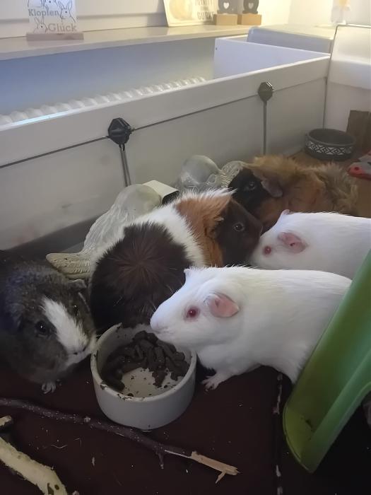 Klicke auf die Grafik f�r eine gr��ere Ansicht

Name:	IMG-20260208-WA0077.jpg
Hits:	0
Gr��e:	140,0 KB
ID:	216198