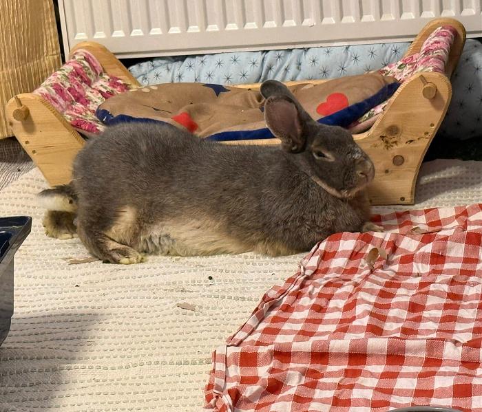 Klicke auf die Grafik f�r eine gr��ere Ansicht

Name:	IMG-20260208-WA0007.jpg
Hits:	0
Gr��e:	299,2 KB
ID:	216202